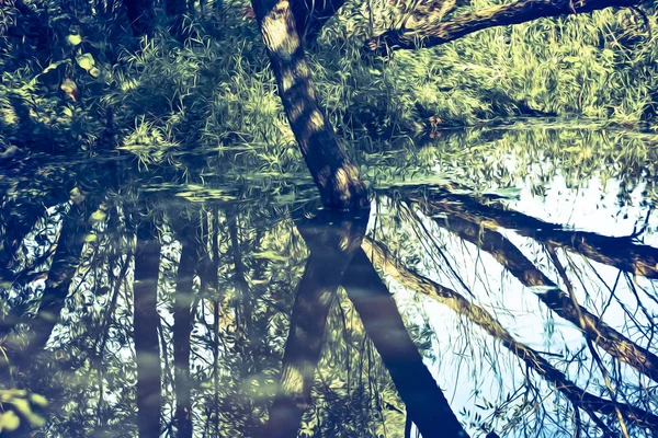 Arroyo Forestal Superficie Del Agua Naturaleza Bosque —  Fotos de Stock