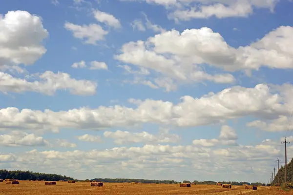 Landschap Zomer Veld Weergave Van Natuur — Stockfoto