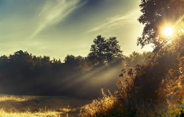 Bir güneş ışıkları. Sabah erken, summe