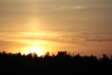 Bir güneş ışıkları. Sabah erken, summe