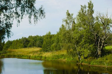Orman gölet. Su yüzeyi, Doğa, orman.