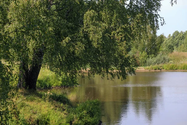 Étang Forestier Surface Eau Nature Forêt — Photo