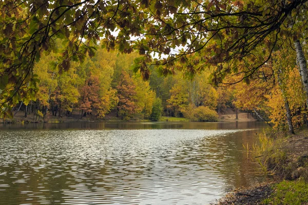 Podzim Jezero Podzimní Pohled Přírody Listy Jsou Žluté — Stock fotografie