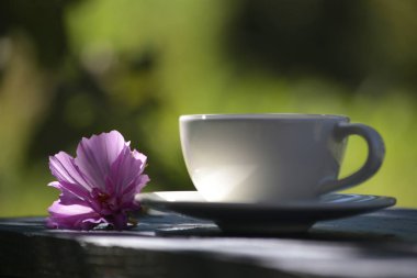 Kahve içmek için. Hoş ve güzel kokulu taze. Rahatlamak için içki