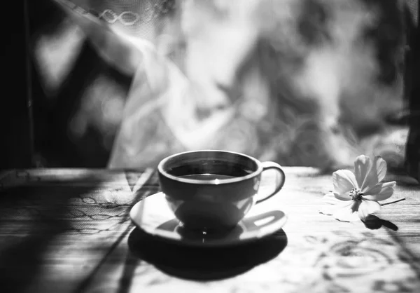 Het Drinken Van Koffie Vers Aangenaam Geurig Drankje Ontspannen — Stockfoto