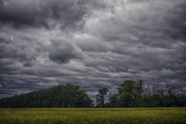 Est Paysage Avec Des Nuages Campagne Dans Nature Les Nuages — Photo