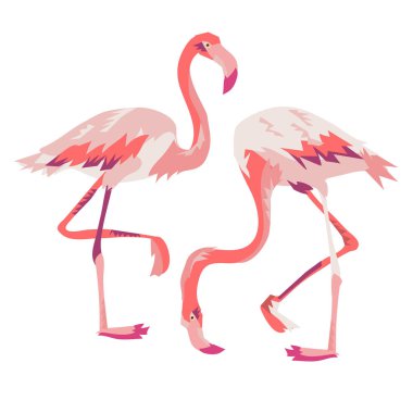 pembe flamingo vektör illüstrasyonu