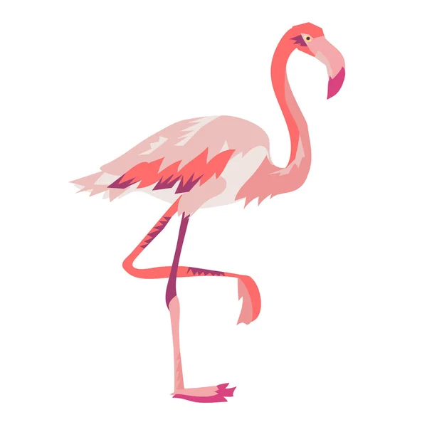 Illustration des rosa Flamingo-Vektors — Stockvektor