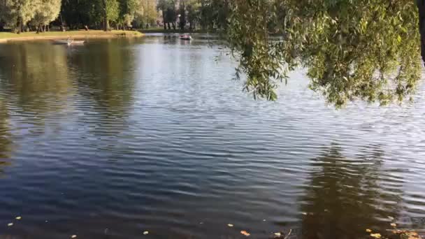 Transitorietà Del Momento Movimento Dell Acqua Foglie Barche Con Persone — Video Stock