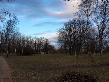 mavi beyaz bulutlar ile derin sonbahar, Şehir Parkı, ağaç yaprakları, soğuk gökyüzü, olmadan