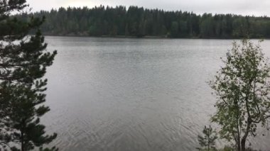 iğne yapraklı ve yaprak döken ağaç görünümünü Orman Gölü, kasvetli hava, ışık su akışı diğer tarafta