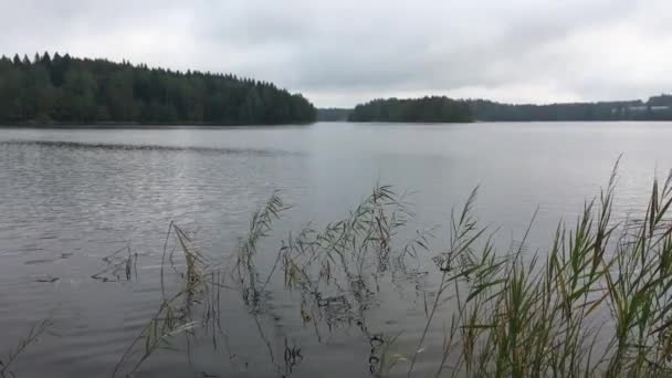 Vista Lago Natureza Carélia Tempo Sombrio Ondas Luz Água Margens — Vídeo de Stock