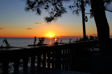 sabah, mavi deniz, Güneş doğar kafeden, çekim su, turuncu tonları dan denizde şafak ışıkları korkuluk, tablolar, koniler ile büyük çam, natu zevk için güzel bir yer