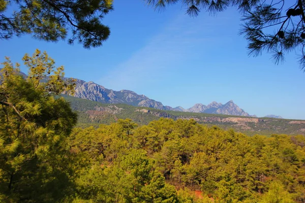 Tahtali Gebirge Blick Aus Der Ferne Nadelbäume Zapfen Flauschige Schwänze — Stockfoto
