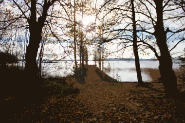 Göl, Sonbahar sezonu, ağaçlar ve çalılar kenarlarda terk edilmiş iskelede, bir yol hiç bir yere varamayacağını, sarı yaprakları yere ve ağaçlar, yumuşak su