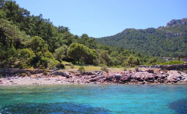 berrak turkuaz su ile harika bir Bay, küçük bir plaj, kıyı yabani bitki örtüsü ile kaplıdır, farklı bitkilerin bir arada, iğne yapraklı ağaçların bir sürü, Türkiye