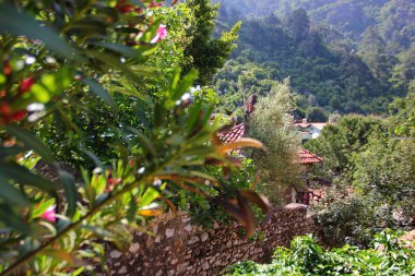 Türkiye'de tatil beldesi, Marmaris yakınlarında, taş duvar, yeşilliklerle çevrili, dağlara karşı, konut Türkler, Icmeler