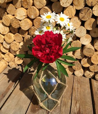 kompozisyon, yuvarlak ahşap gövdeleri bir arka plan üzerinde bir cam şişe bükülmüş ip kırmızı şakayık ve papatya bir buket