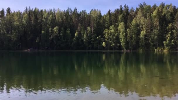 Pillanat Tavon Sok Fenyőfák Erdőben Partján Tükröződik Tiszta Víz Fény — Stock videók