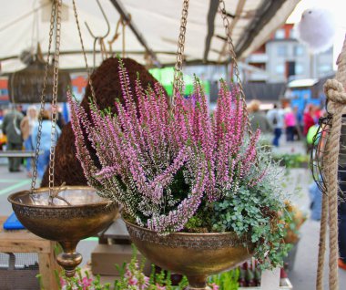 Bronz renkli kolyenin içinde bir Heather bitkisi, bir sürü mor çiçek, bir zincir var.