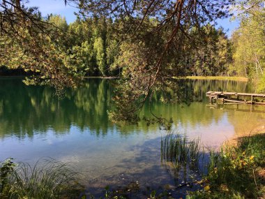 Ormandaki muhteşem göl, berrak su, yeşillik çünkü ağaçlar, kozalaklı ormanlar, Noel ağaçları, çam ağaçları, terk edilmiş bir ahşap iskele görebilirsiniz.