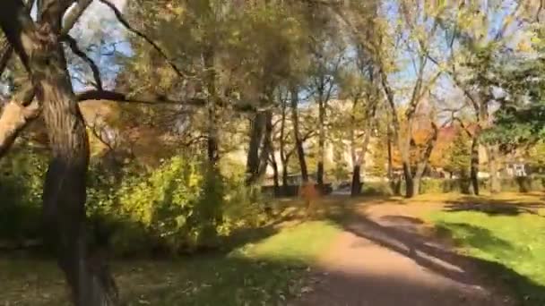 Güneşli Bir Sonbahar Günü Park Yolları Ağaçların Çevresi Sarı Yapraklar — Stok video