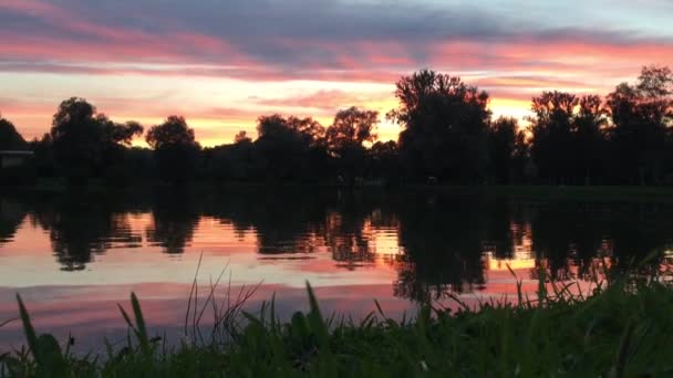 Vacker Solnedgång Nära Sjön Rosa Nyanser Återspeglas Vattnet Gräset Skaka — Stockvideo