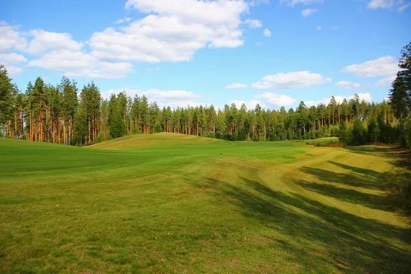 Terrains Golf Dans Pinède Pelouses Verdoyantes Courbure Facile Terrain Nature — Photo