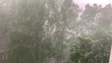nature rage, the elements, a strong thunderstorm with gusts of wind and hail, swaying tall trees, shooting from the window of the house