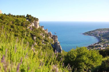 Mavi denizin ve kıvrımlı sahil şeridinin arka planına karşı dağda açan mor lavanta çalıları