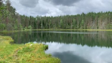 Ormandaki göl manzarası, berrak su, sudaki ağaçların yansıması, bulutlu gökyüzü, kuzeyin doğası, Karelia.