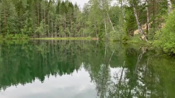 森林中的湖景 清澈平澈的水 大多是针叶树 倒映在水面上 天空布满云彩 轻盈的水波 北方的自然 卡累利阿 — 图库视频影像