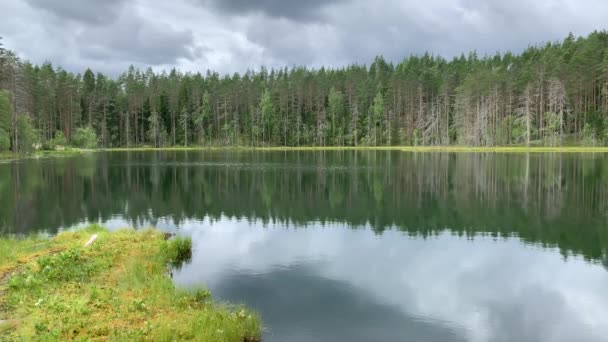 森林中的湖景 清澈的流水 水面上倒映着树木 天空中乌云密布 北方的自然 卡累利阿 — 图库视频影像