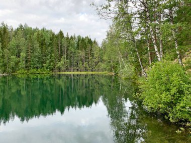 Ormandaki göl manzarası, berrak ve pürüzsüz su, çoğunlukla kozalaklı yeşil gölge, sudaki ağaçların yansıması, bulutlu gökyüzü, kuzeyin doğası, Karelia.