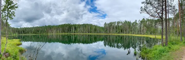 Ormandaki gölün panoramik görüntüsü, pürüzsüz berrak su, kıyıdaki bir sürü köknar ve huş, sudaki bulutların yansıması, Kuzey 'in doğası, Karelia