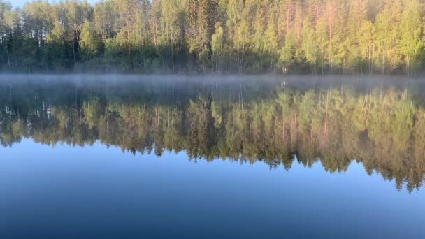 Tidig Morgon Skogen Nära Sjön Värmeevakuering Från Vattnet Ångbildning Rörelse — Stockvideo