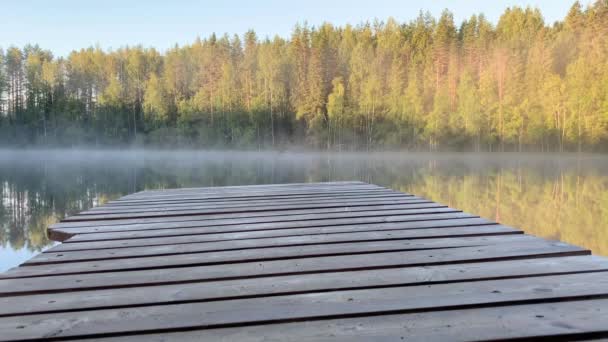 Varhain Aamulla Metsässä Lähellä Järveä Lämmön Evakuointi Vedestä Höyryn Muodostuminen — kuvapankkivideo