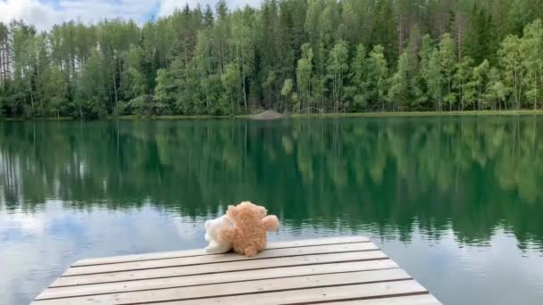 Dois Brinquedos Pelúcia Urso Marrom Branco Sentado Abraço Cais Junto — Vídeo de Stock