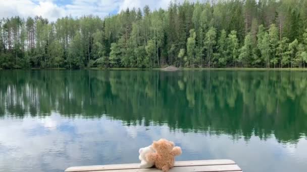 两只毛绒玩具 一只棕熊和一只白熊坐在湖边的码头上 在森林里 许多圣诞树生长在岸边 倒映在水面上 绿树成荫 — 图库视频影像