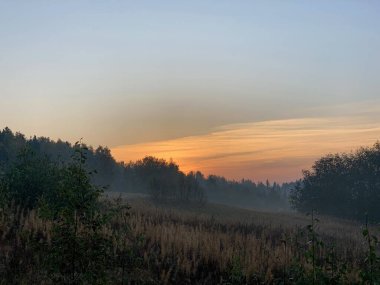 Kırmızı şafak doğada, güneş ormanın arkasından yükseliyor, ağaçlar, alçak çalılı bir tarla, çimenler, sonbahar, hafif sis