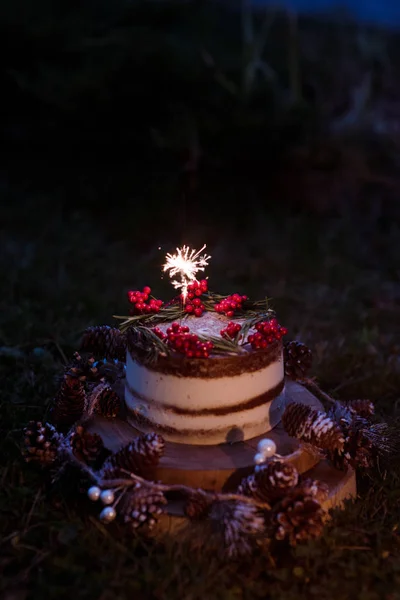Christmas chocolate vanilla cake. Rustic naked homemade cake. Piece of cake. Vegan raw cake. Decorated rosemary and Christmas tree. Lights and sparkler. Candle and garland on the background.