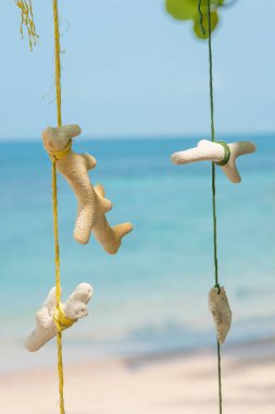 Güzel vintage deniz süngeri ipe asılı. Yakın çekim
