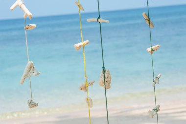 Güzel vintage deniz süngeri ipe asılı. Yakın çekim