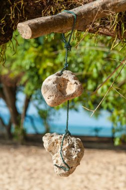 Güzel vintage deniz süngeri ipe asılı. Yakın çekim