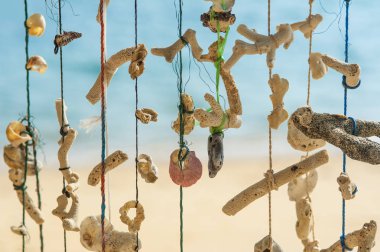 Vintage deniz süngeri ve egzotik kabukları ipe asılı. Yakın çekim