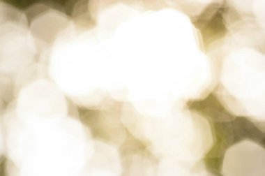 Soyut sarı doğal bokeh arka plan bulanıklık. Makro çekim