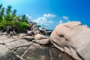 Palmiye ağaçları ile egzotik ada güzel tropikal plaj. Doğa arka plan