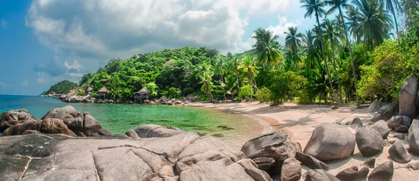 Beautiful Tropical Beach Exotic Island Palm Trees Nature Background — Stock Photo, Image