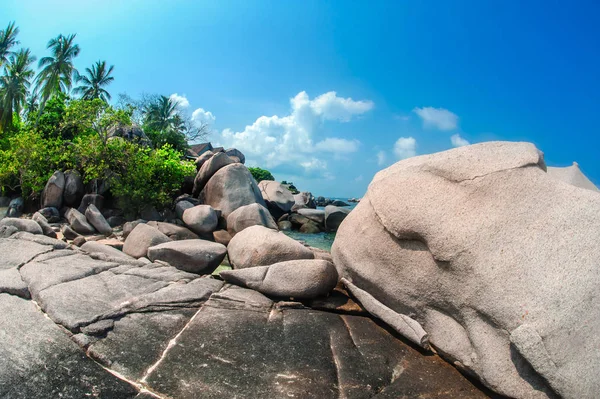 Palmiye ağaçları ile egzotik ada güzel tropikal plaj. Doğa arka plan