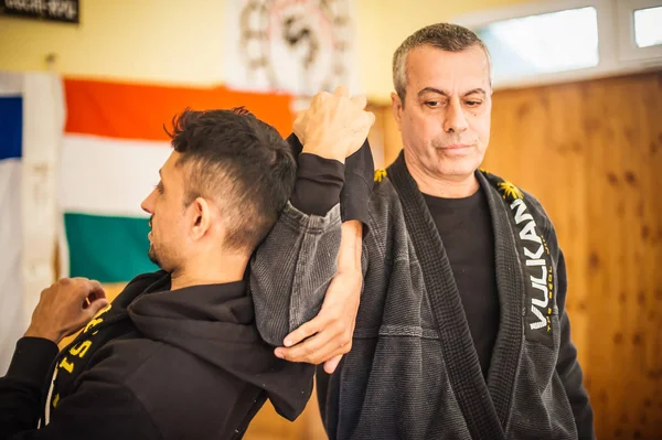 Kapap Krav Maga instructor Avi Nardia demonstrates escrima stick-fighting –  Stock Editorial Photo © guruxox #315081816